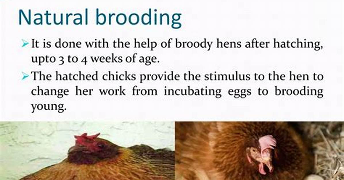 What Does Deep and Brooding Mean?