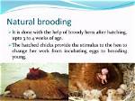 What Does Deep and Brooding Mean?