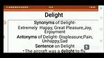 What Does Delight Mean