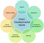 What Does Developmental Needs Mean?