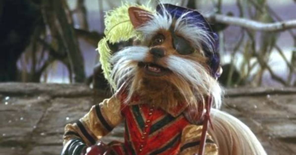What Does Didymus Mean?