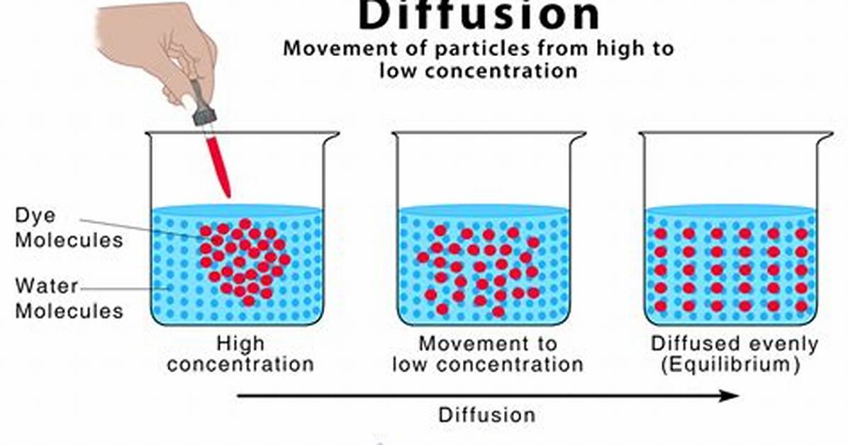 What Does Diffusion Do?