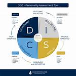 What Does Disc Stand For