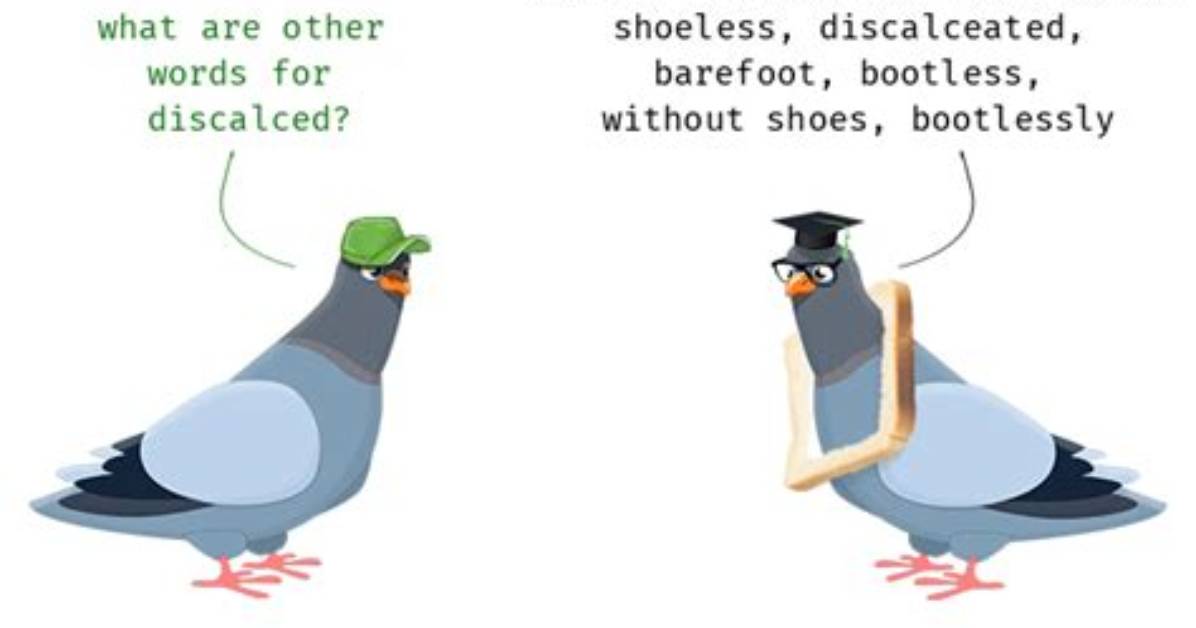 What Does Discalced Mean?