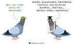 What Does Discalced Mean?
