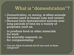 What Does Domestication Mean