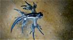 What Does Dragonlike Mean?