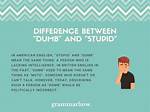 What Does Dumb Mean