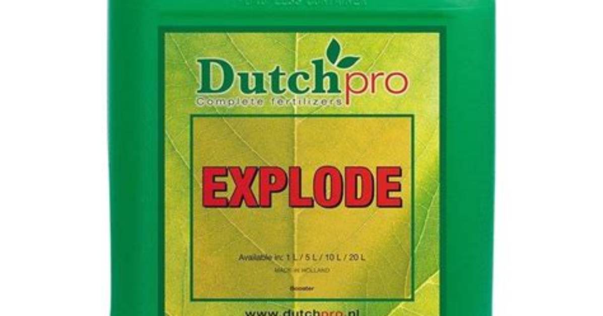 What Does Dutch Pro Explode Do?