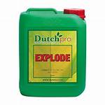What Does Dutch Pro Explode Do?