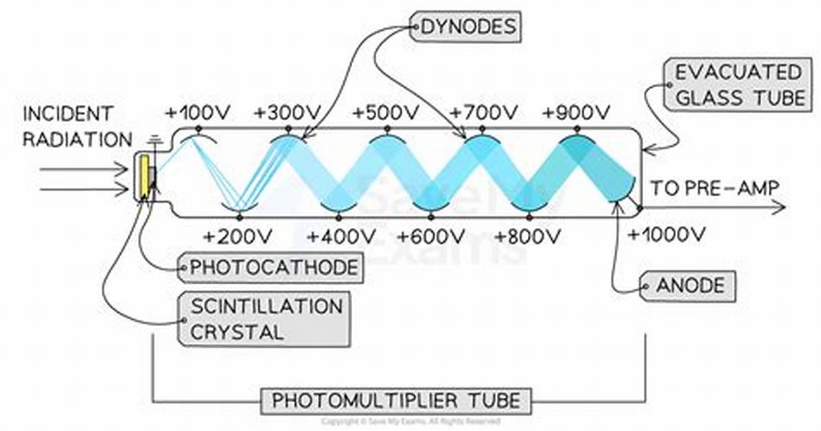 What Does Dynodes Mean?
