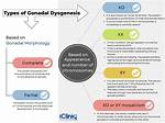 What Does Dysgenesis Mean?