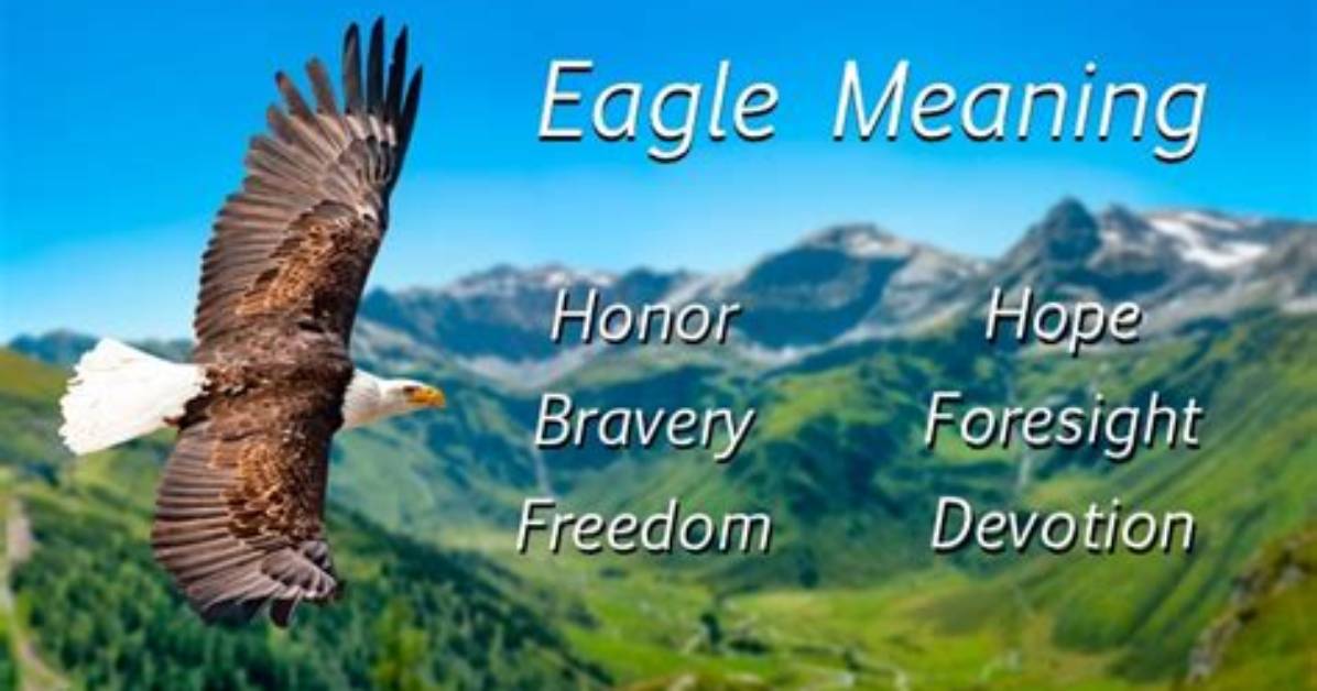 What Does Eagle Wings Symbolize?