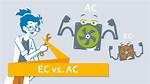 What Does Ec Stand For