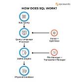 What Does Echo Do Sql