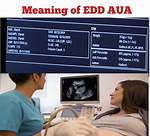 What Does Edd Stand For