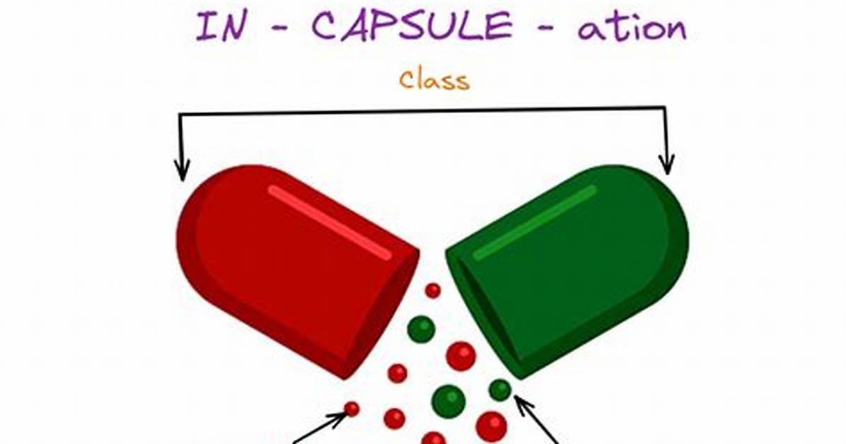 What Does Encapsulate Mean