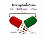 What Does Encapsulate Mean