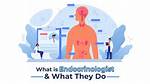 What Does Endocrinologist Do