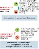 What Does Energetically Stable Mean?