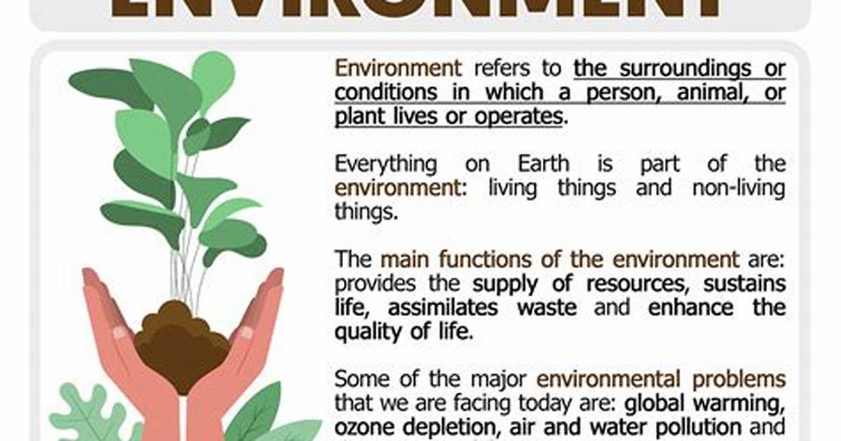 What Does Environment Mean