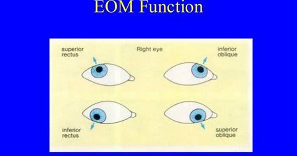 What Does Eom Mean