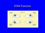 What Does Eom Mean