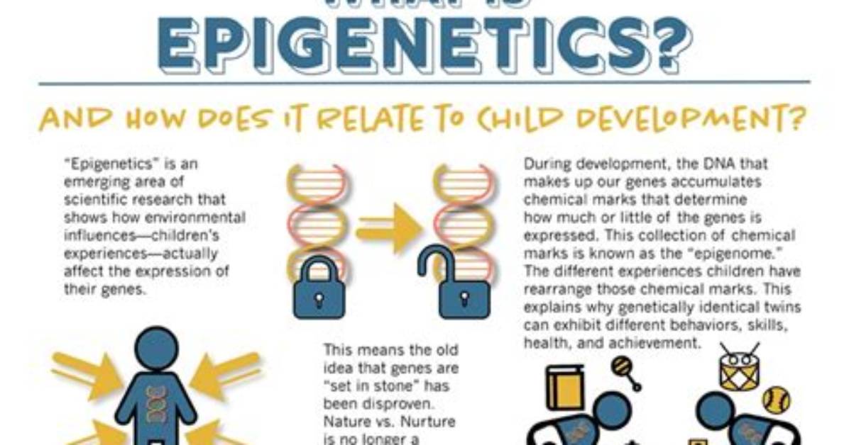 What Does Epigenetically Mean?