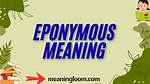 What Does Eponymous Mean