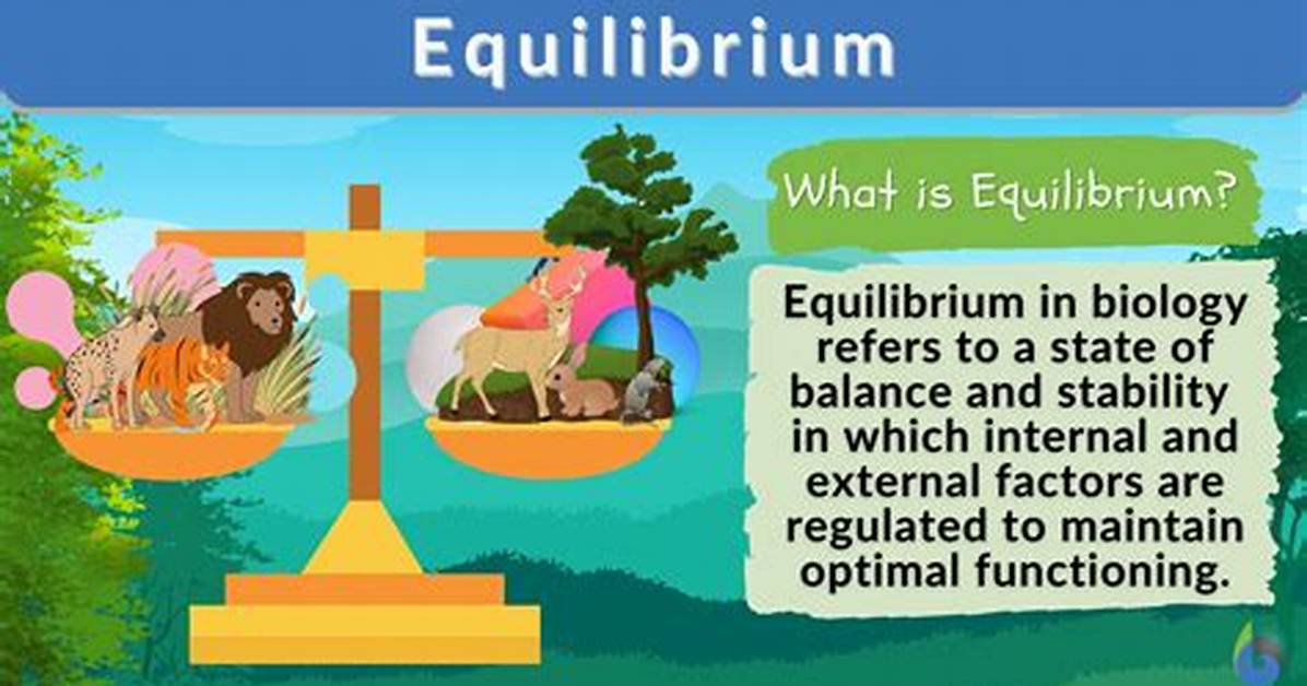 What Does Equilibrium Mean