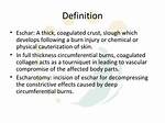 What Does Escharotomy Mean