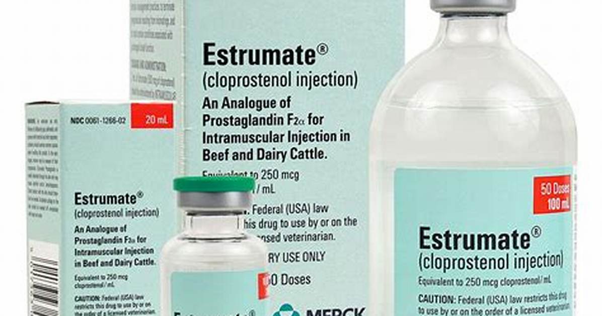 What Does Estrumate Do?