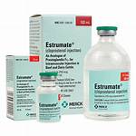 What Does Estrumate Do?