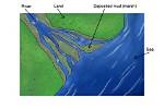 What Does Estuary Mean?