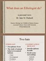 What Does Ethologist Do?