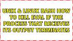 What Does Eval Do in Linux?