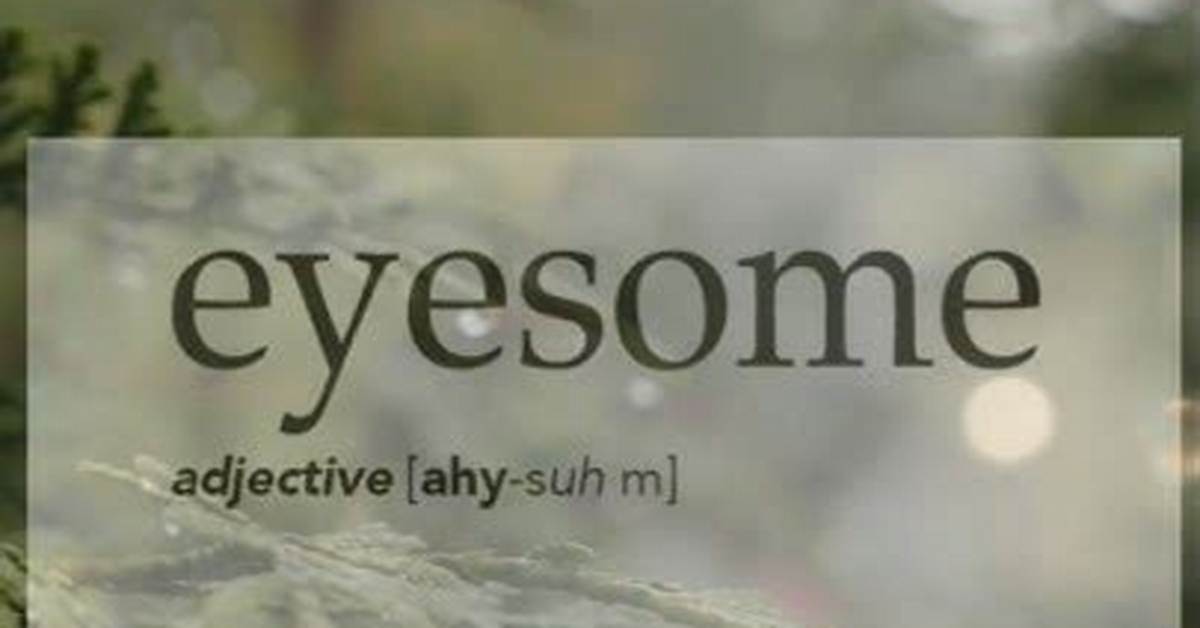 What Does Eyesome Mean?
