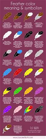 What Does Feather Signify?