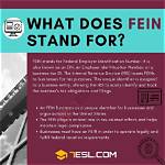 What Does Fein Mean