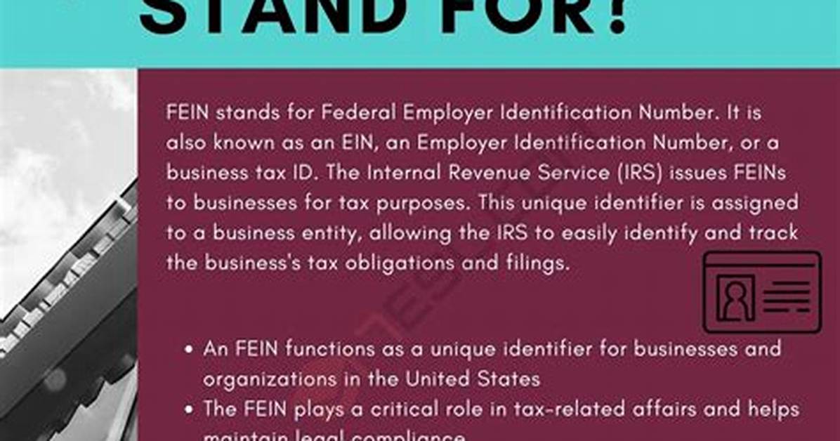 What Does Fein Stand For