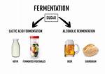 What Does Fermentation Mean?