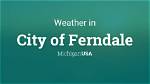 What Does Ferndale Mean?