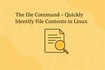 What Does File Command Do in Linux?