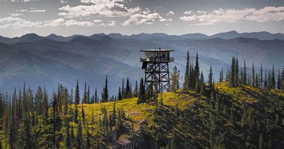 What Does Firetower Mean?