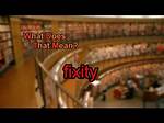 What Does Fixity Mean Dictionary?