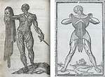 What Does Flayed Mean in Got?