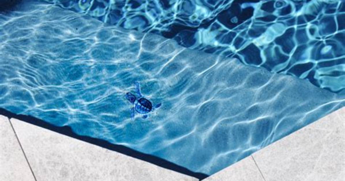What Does Flocking a Pool Mean