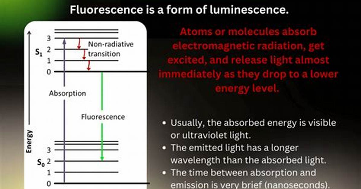 What Does Fluorescence Mean?