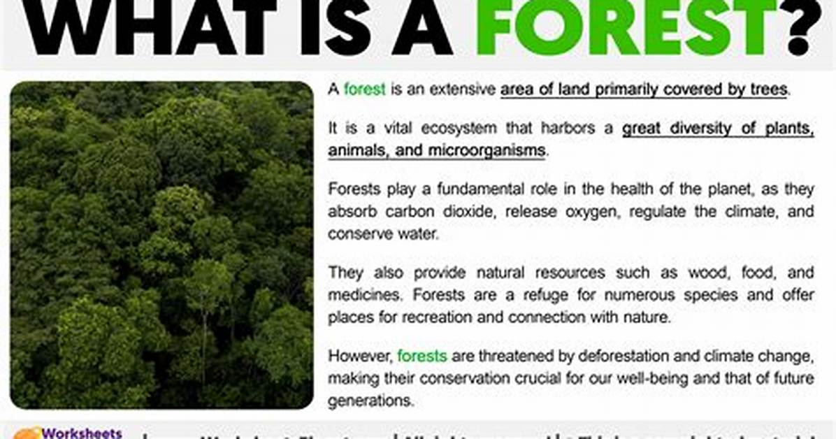 What Does Forest Mean?