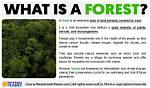 What Does Forest Mean?